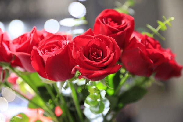 表白确认关系送什么礼物合适