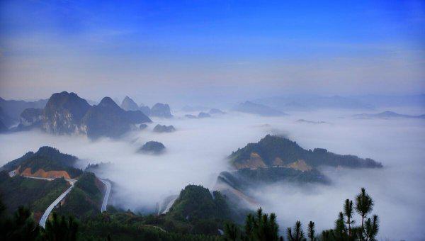 河池有几个县和区