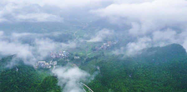 河池有几个县和区