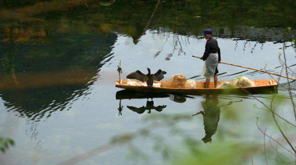 河池有几个县和区
