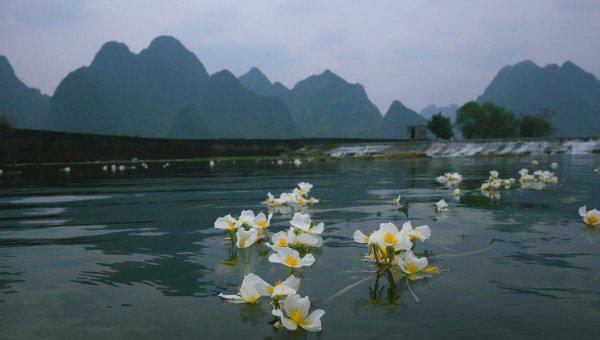 河池有几个县和区