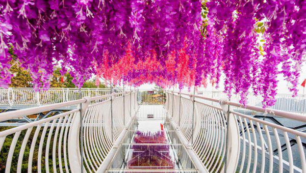 怀化在哪个省份