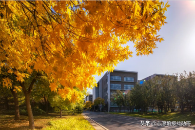 国防七子是哪七个大学排名 大学国防七子实力有多强