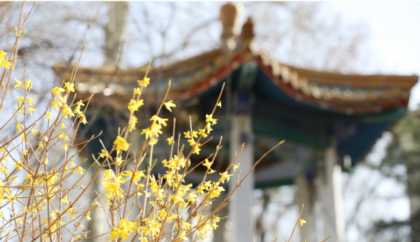 国防七子是哪七个大学排名