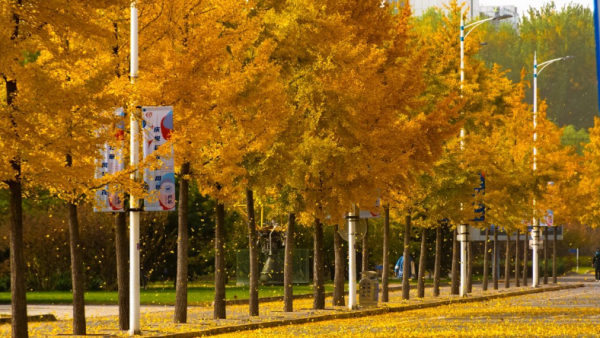 国防七子是哪七个大学排名