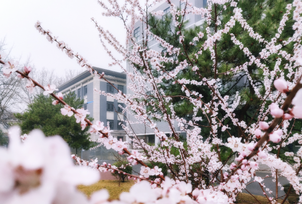 国防七子是哪七个大学排名