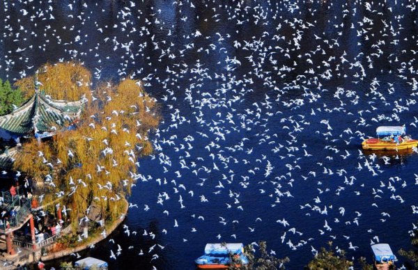 昆明春城的由来