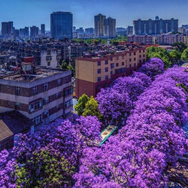 昆明春城的由来