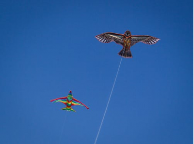 放风筝的技巧有哪些 把漂亮的风筝放飞起来飞得更高