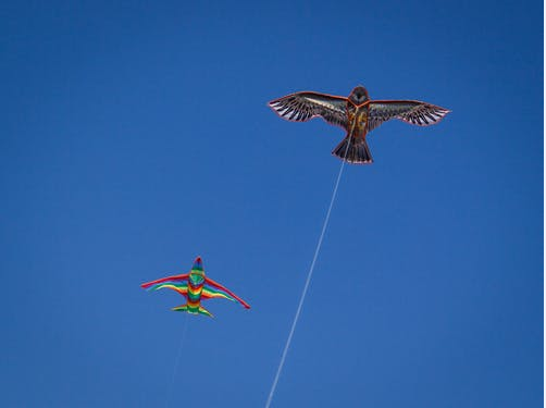 放风筝的技巧有哪些