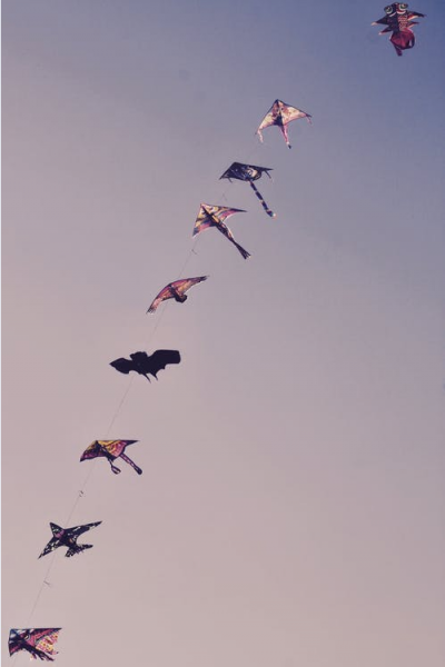 放风筝的技巧有哪些