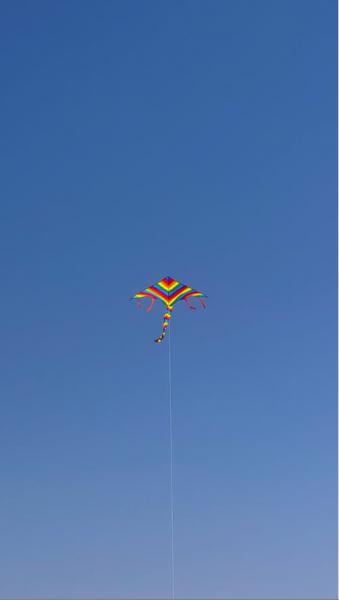 放风筝的技巧有哪些