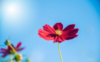 追女孩的早安问候方式 撩妹高手如何高情商说早安