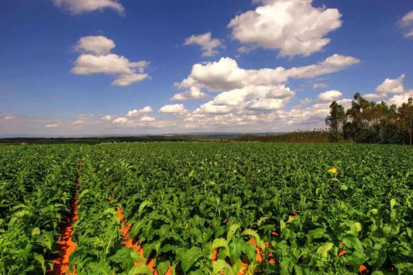 云南面积多少平方公里