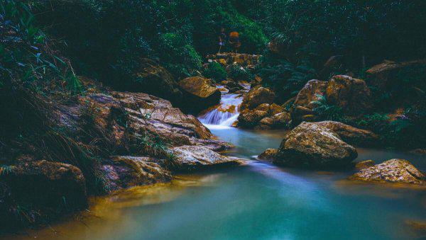 空山不见人是哪首古诗