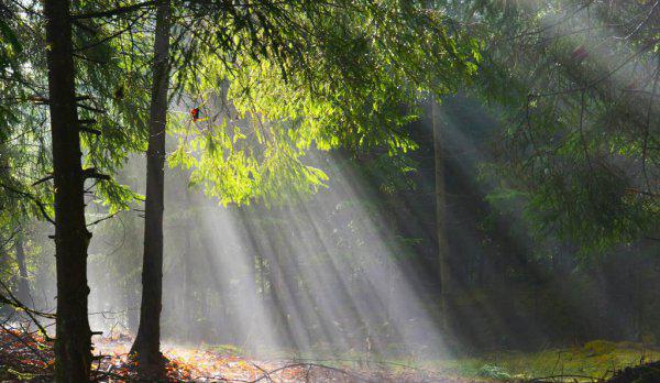 空山不见人是哪首古诗