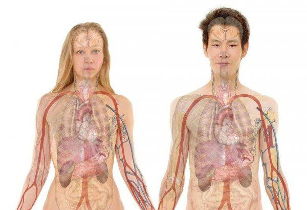 西方医学之父是谁