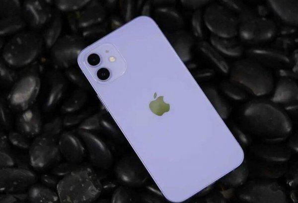 苹果手机5g有哪些型号