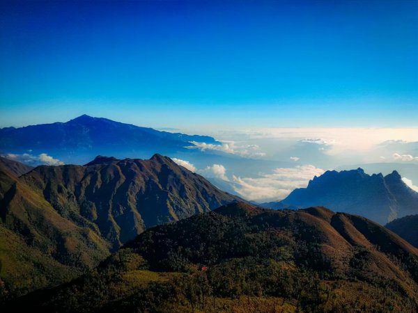 狮子男喜欢什么样子的女生