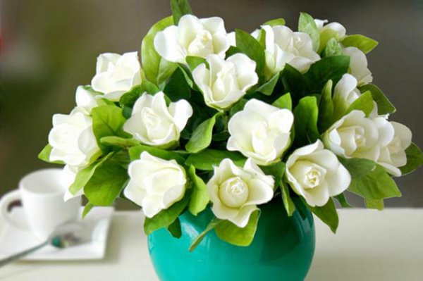 栀子花什么味道