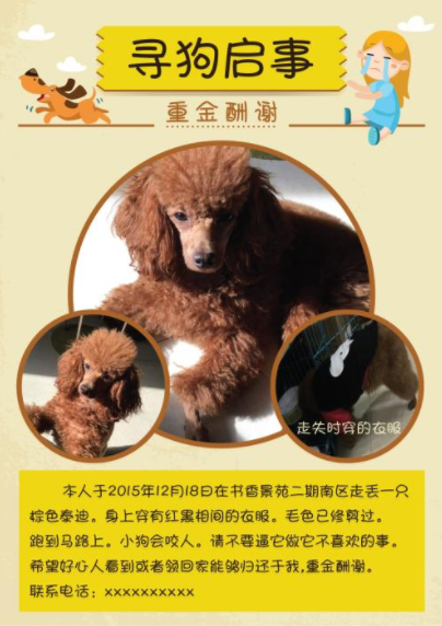 农村找狗很灵的方法