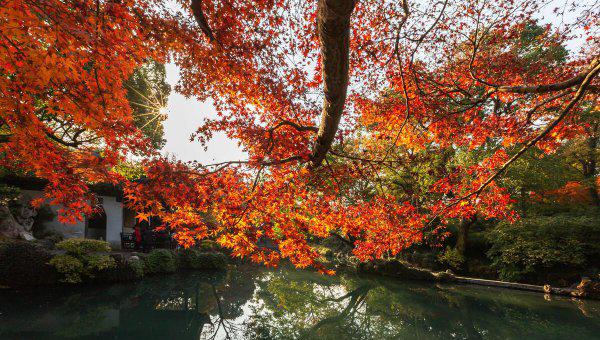 原耽里文笔极佳的句子