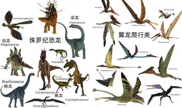 恐龙统治地球多少年