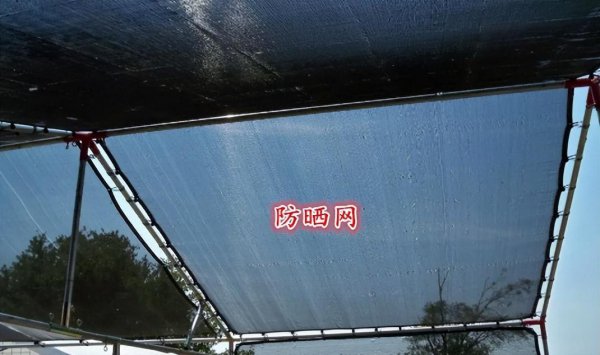 顶楼隔热最好的方法