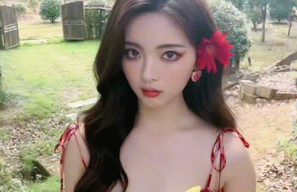 江苏的明星都有谁