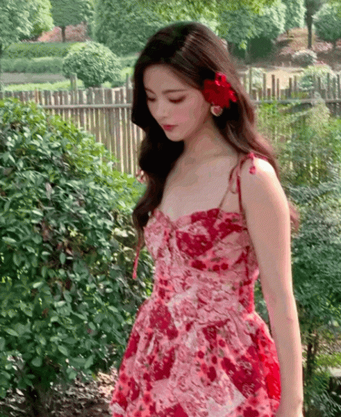 江苏的明星都有谁