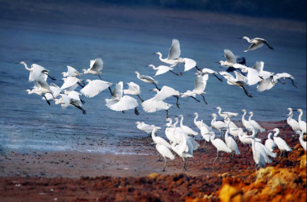 华东交通大学是211吗