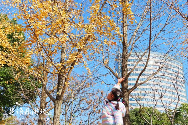 宁波旅游景点排名前十名