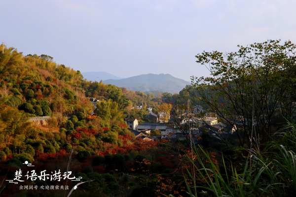 宁波旅游景点排名前十名