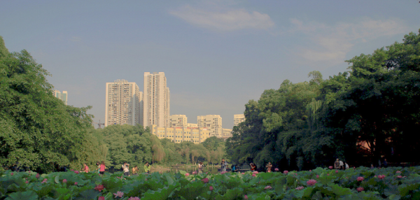 沙坪坝附近有什么好玩的景点