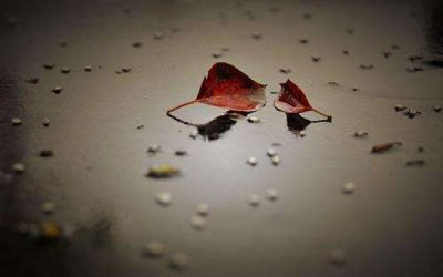 做梦梦到家里人过世是怎么回事 梦到亲人去世是什么心理