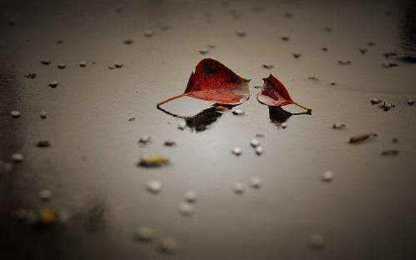 做梦梦到家里人过世是怎么回事