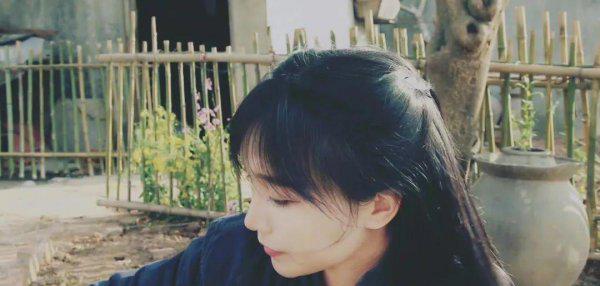 李子柒怎么不更新了