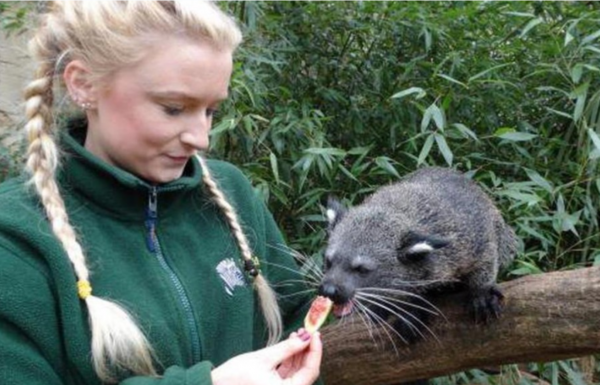 五条腿的动物有没有