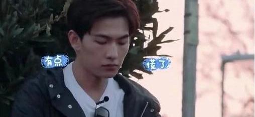 杨洋为什么五年不参加综艺