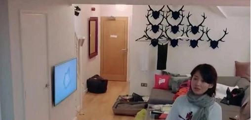 杨洋为什么五年不参加综艺