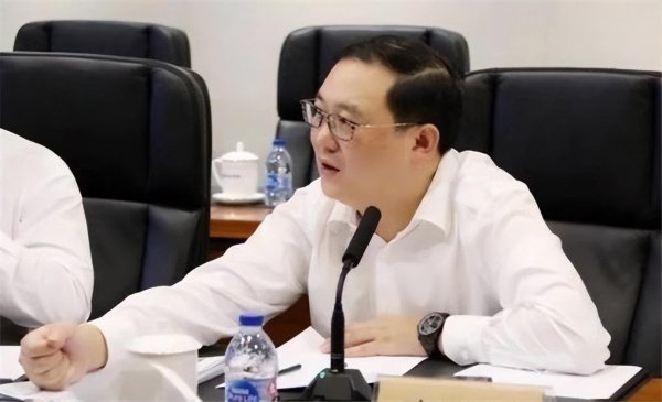 董卿为什么消失了一段时间