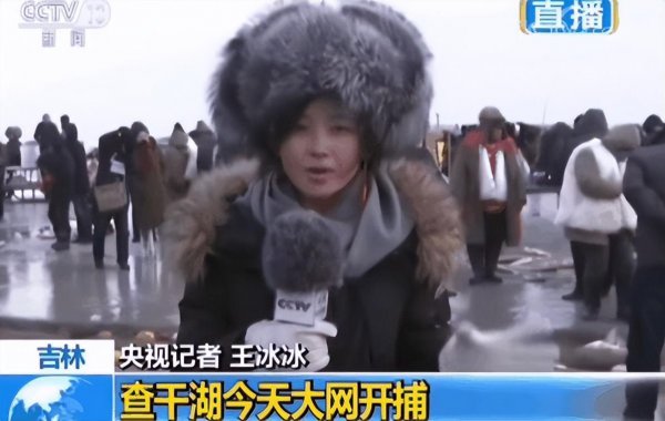 王冰冰个人简介