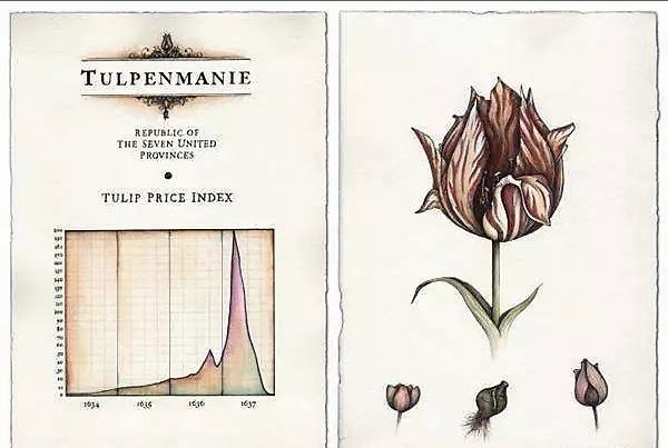 郁金香泡沫事件