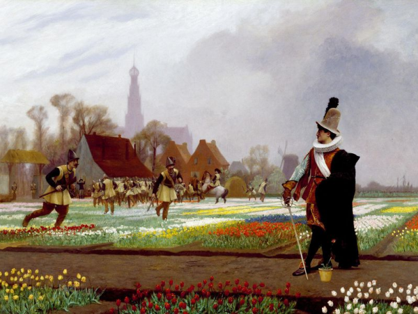 郁金香泡沫事件