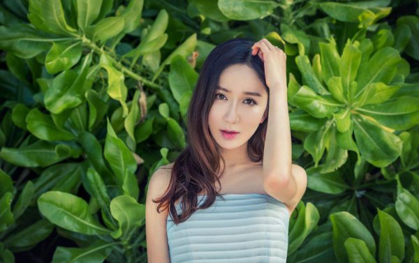 爱情公寓胡一菲是谁扮演的