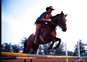 晋松个人资料简介