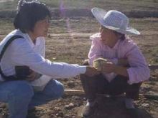 陈道明老婆个人资料简介