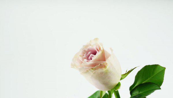 处女座男生喜欢一个人的表现准到爆