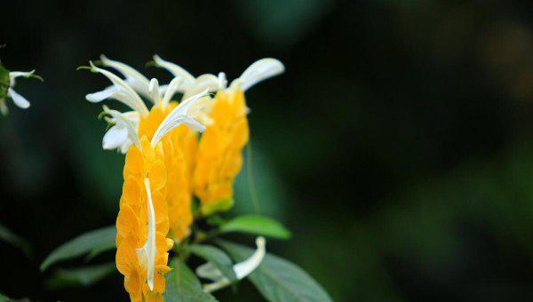 处女座男生喜欢一个人的表现准到爆