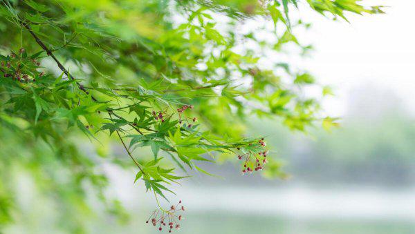 处女座男生喜欢一个人的表现准到爆